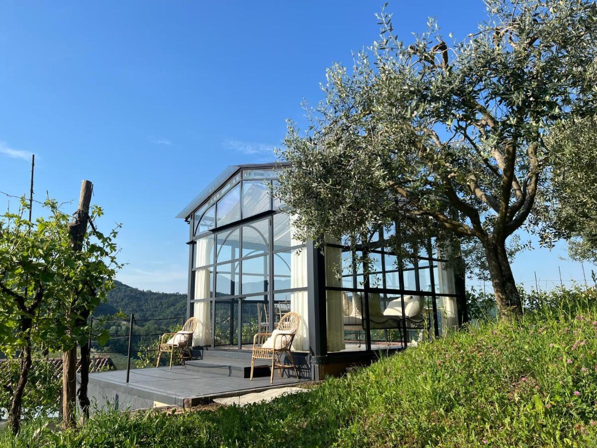 Agriturismo Il Conte Vassallo Miane Buitenkant foto