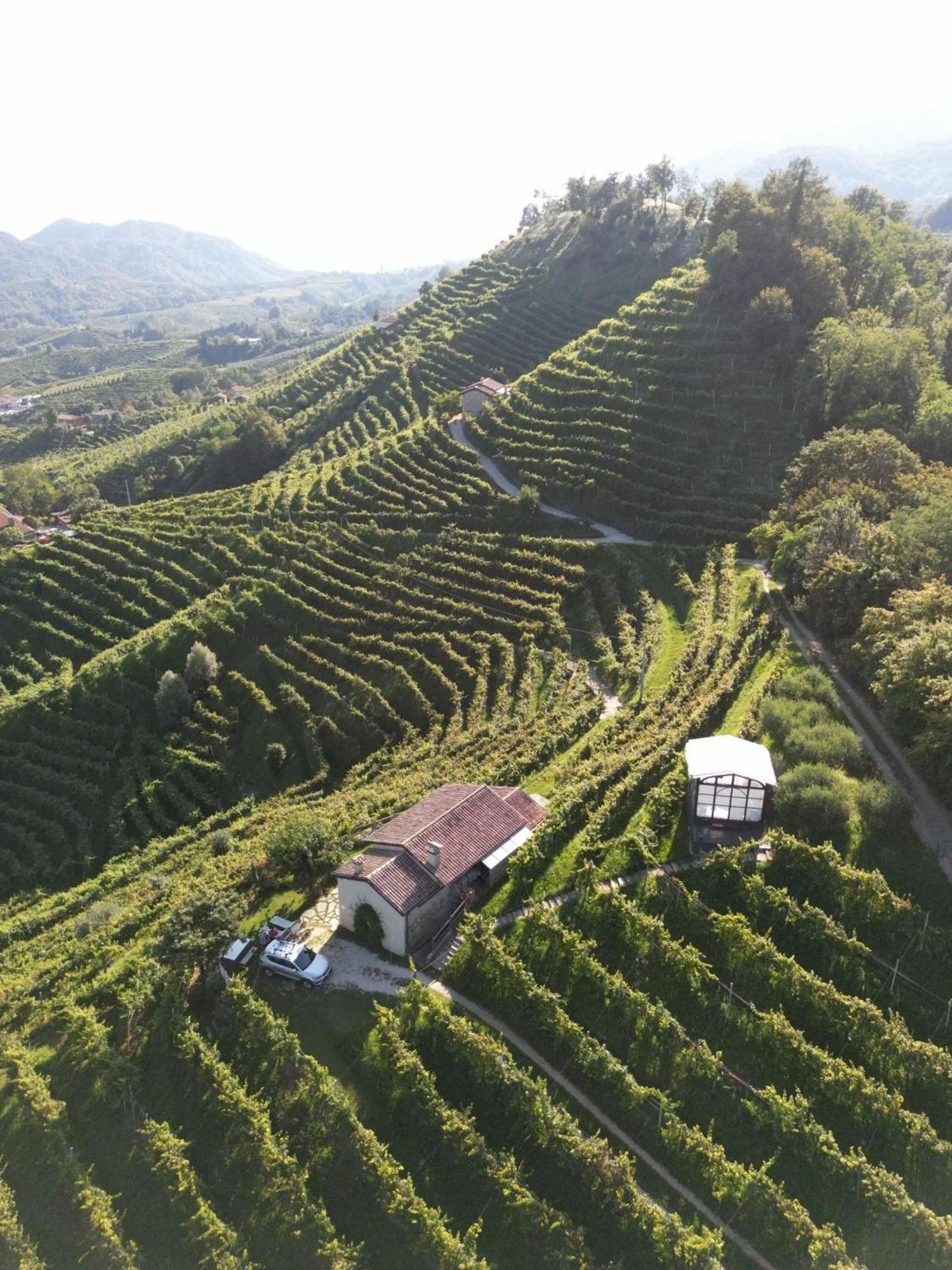 Agriturismo Il Conte Vassallo Miane Buitenkant foto